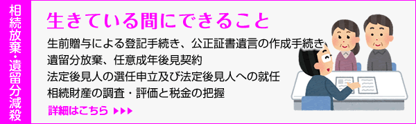 生きている間にできること/生前贈与による登記手続き、公正証書遺言の作成手続き・遺留分放棄、任意成年後見契約・法定後見人の選任申立及び法定後見人への就任・相続財産の調査・評価と税金の把握